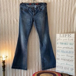 Express Stella Fit & Flair Jeans